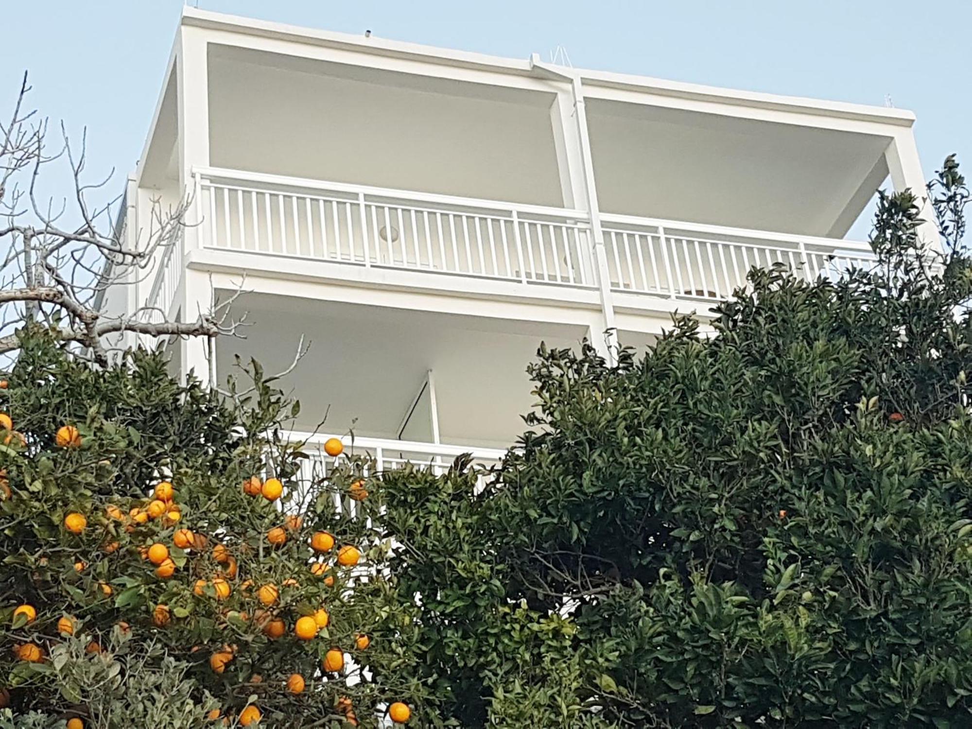 Apartmani Anda Živogošće Extérieur photo